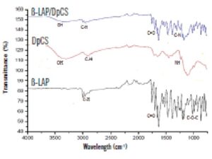 FTIR of β-LAP, DpCS and the β-LAP/DpCS conjugate